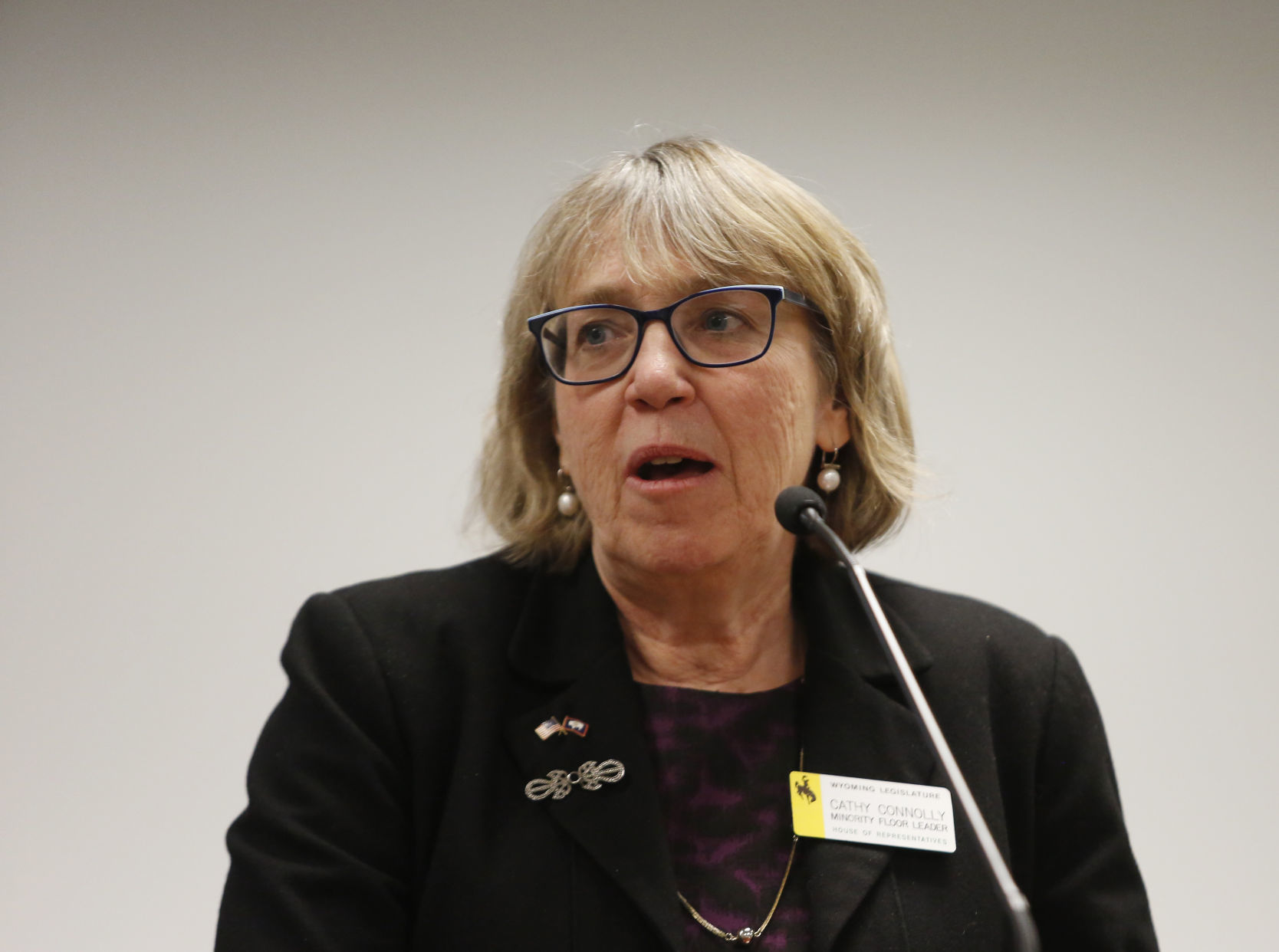 Wyoming Legislature Leadership